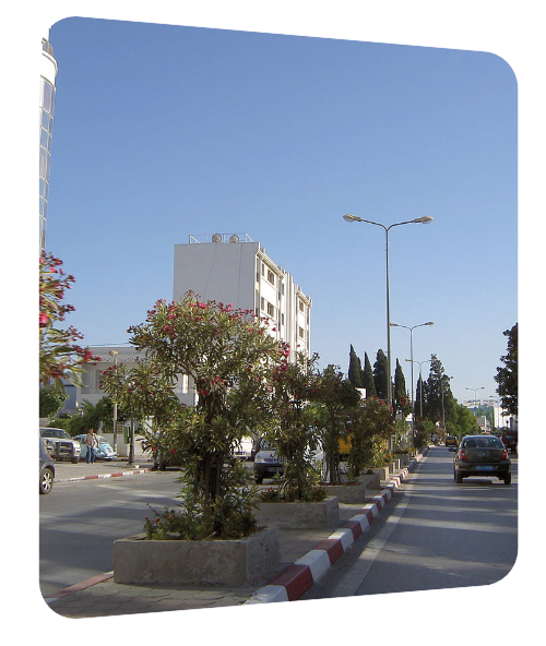 Déménagez à La Soukra avec Tunisie Déménagement